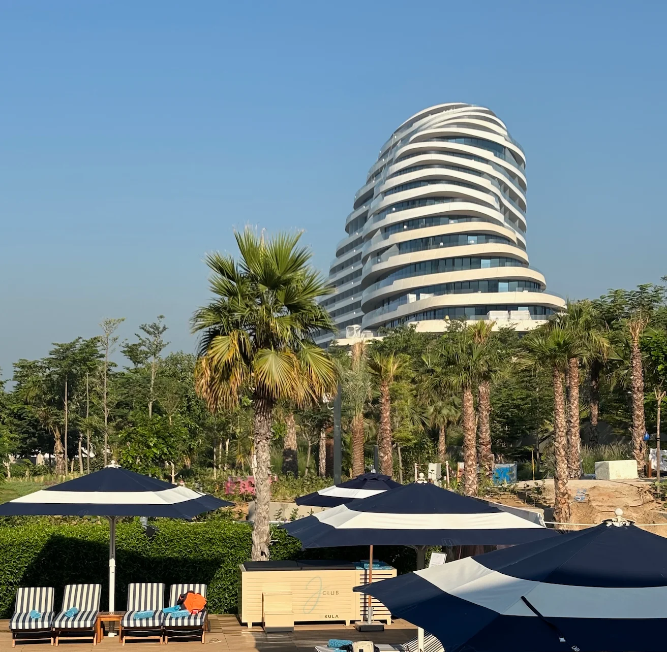 20th November 2024: the view from J Club, Dubai, where the discussion was held.